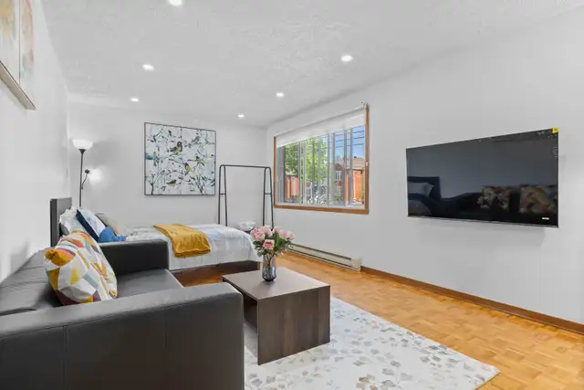 CLEAN/BRIGHT NEWLY RENOVATED 3 1/2 APARTMENT IN ANJOU
