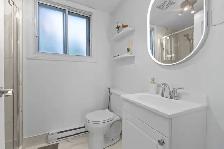CLEAN/BRIGHT NEWLY RENOVATED 3 1/2 APARTMENT IN ANJOU - Photo 3