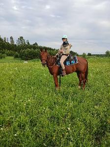beautiful and awesome 6 year opd quarter horse available! - Photo 6