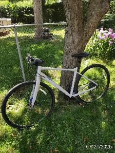 Giant Fastroad M2 bike for sale