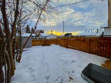 Renod 1200 sf 3BR/1.5BA Mn Flr-private yard/in-suite Lndry/PetOK - Photo 15