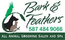 Dog and Cat grooming! In Innisfail alberta - Photo 2
