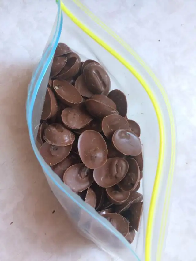 Debbie Wilson's PAINTED CHOCOLATES
