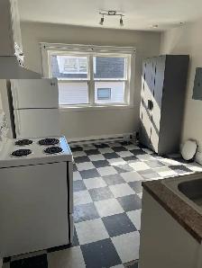 Large Bachelor Apartment For Rent
