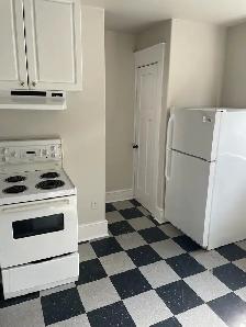 Large Bachelor Apartment For Rent - Photo 2