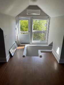 Large Bachelor Apartment For Rent - Photo 3