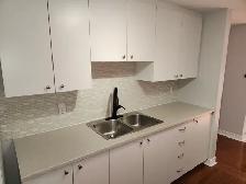 Beautiful Home in Hintonburg - Photo 4