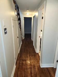 Beautiful Home in Hintonburg - Photo 8
