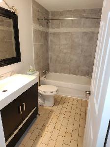 Beautiful Home in Hintonburg - Photo 10