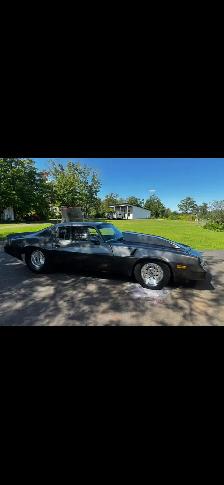 1981 pro street Camaro - Photo 3