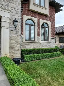 Professional Gardening Services - Photo 2