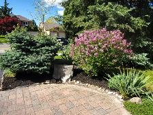 Professional Gardening Services - Photo 3
