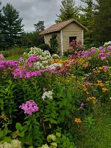 Professional Gardening Services - Photo 5