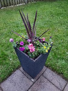 Professional Gardening Services - Photo 7