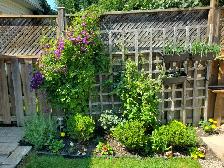 Professional Gardening Services - Photo 9