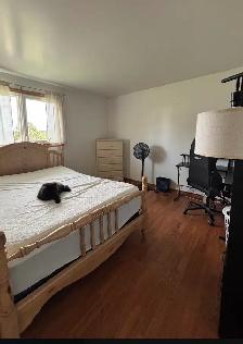 1484 Lorneville Road - FURNISHED 2-BEDROOM HOME IN LORNEVILLE - Photo 5