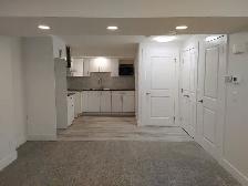 2 Bedroom basement suite in Savanna