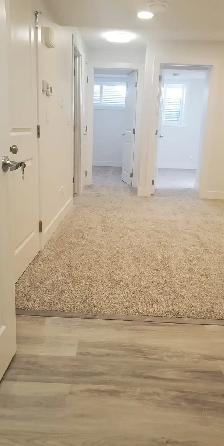 2 Bedroom basement suite in Savanna - Photo 2