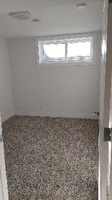 2 Bedroom basement suite in Savanna - Photo 3