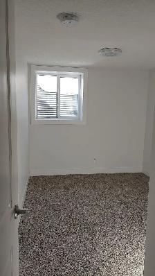 2 Bedroom basement suite in Savanna - Photo 4