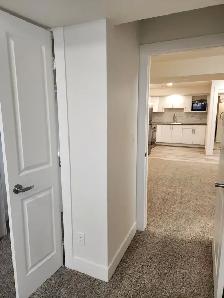 2 Bedroom basement suite in Savanna - Photo 5