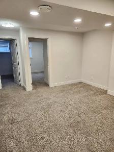 2 Bedroom basement suite in Savanna - Photo 8