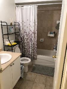 Furnished room  wi walking Distance to York University, shred sh - Photo 5