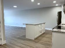1Bed   DEN, TOP FLOOR w/Balcony, 310-40 Patience, Avail Nov.1 - Photo 4