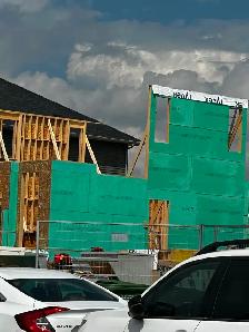 Looking for houses to frame