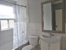 One-Bedroom Apartment for Rent – Prime Forest Hill Location - Photo 5