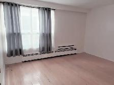 One-Bedroom Apartment for Rent – Prime Forest Hill Location - Photo 6
