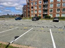 Outside Parking near Parkland at Lacewood - Photo 2