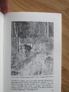 DEER HUNTING IN EASTER CANADA by John Hawkins - 1981 SC - Photo 6