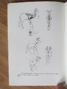 DEER HUNTING IN EASTER CANADA by John Hawkins - 1981 SC - Photo 7