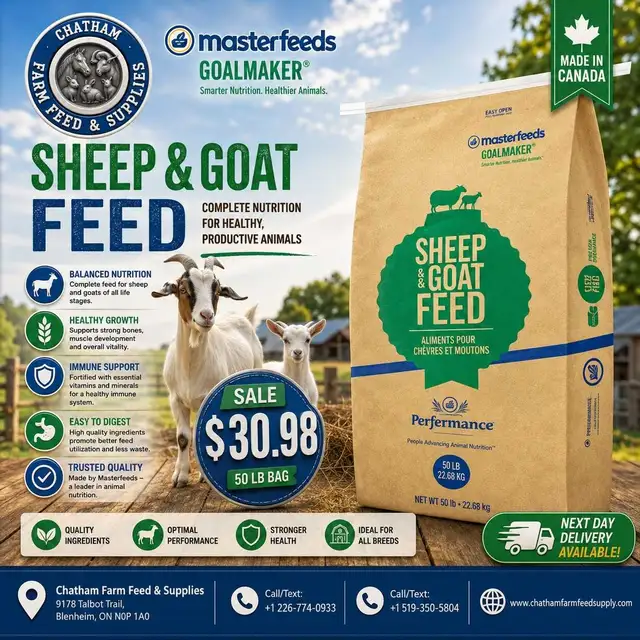 Sheep and goat feed