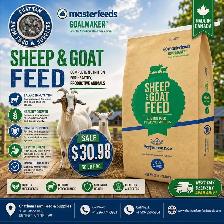 Sheep and goat feed