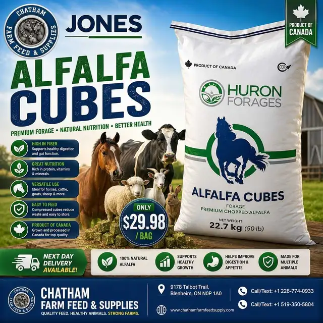 Alfalfa Cubes