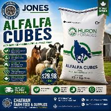Alfalfa Cubes