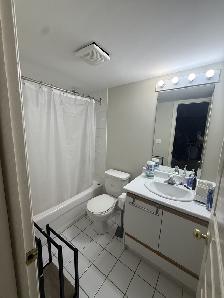 Annex Bachelor all inclusive - Photo 6