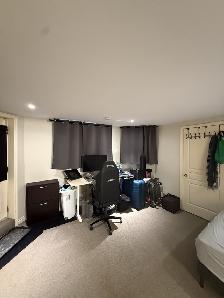 Annex Bachelor all inclusive - Photo 9