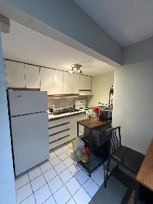 Annex Bachelor all inclusive - Photo 10