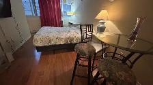 FURNISHED STUDIO IN DOWNTOWN TORONTO- FLEXIBLE LEASE TERMS (100 - Photo 7
