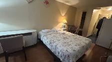 FURNISHED STUDIO IN DOWNTOWN TORONTO- FLEXIBLE LEASE TERMS (100 - Photo 9
