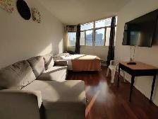 FURNISHED STUDIO IN DOWNTOWN TORONTO- FLEXIBLE LEASE TERMS (100 - Photo 12