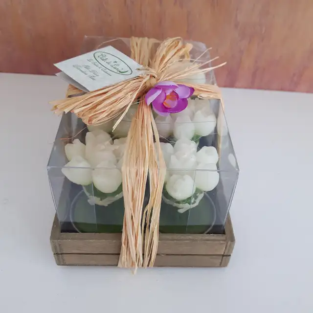 6 LUSTRES NEUFS AVEC BOUQUET-TULIPE DANS BOITE CADEAU: $15.00