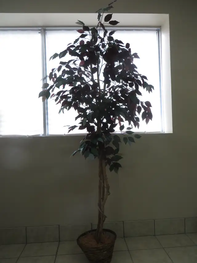 Artificial Plant