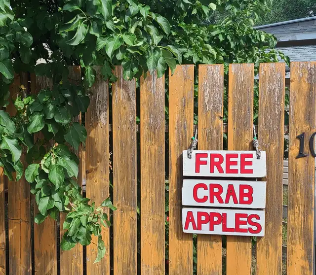 Free Crab Apples