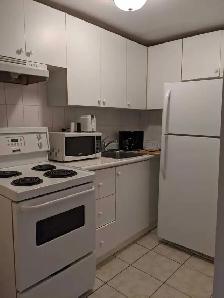 FULLY FURNISHED ONE BEDROOM UNIT WITH A DEN - Photo 4