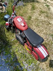 Minni Bike Available Coleman - Photo 3