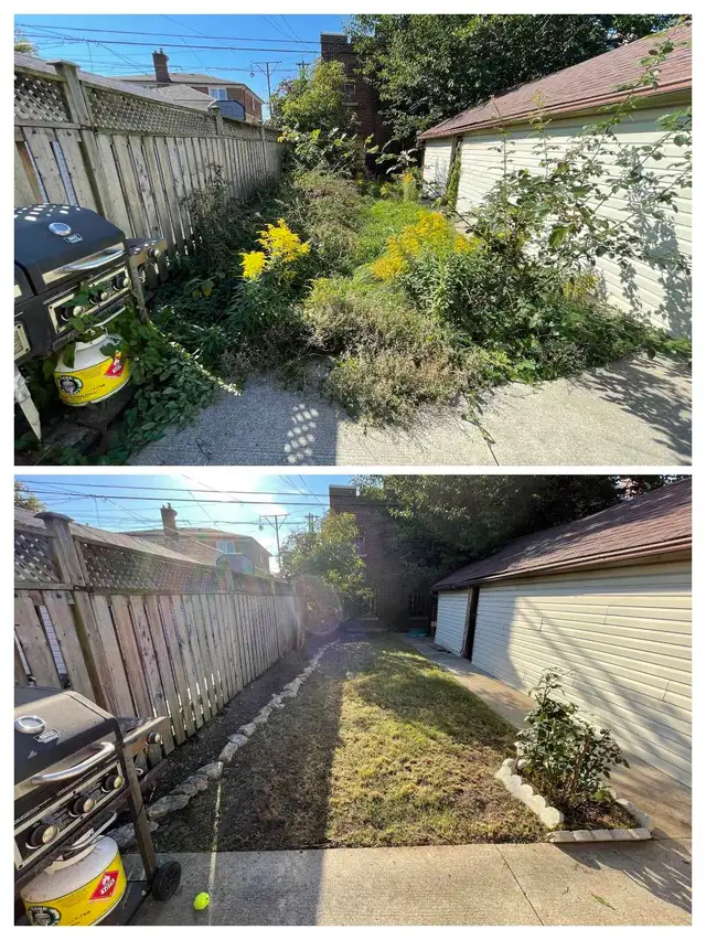 Gardener Available. Not hiring